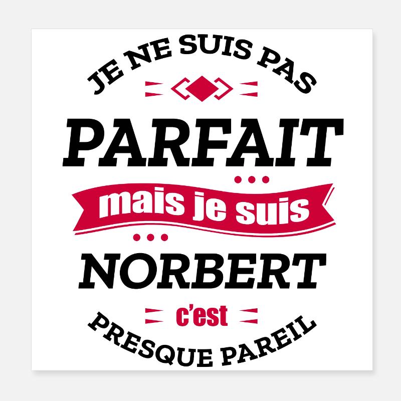 NORBERT PARFAIT - PRENOM NORBERT Poster 20 x 20 cm