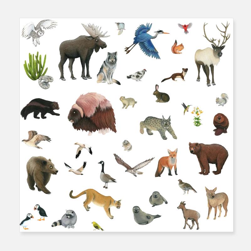 Kanada Poster 20x20 cm