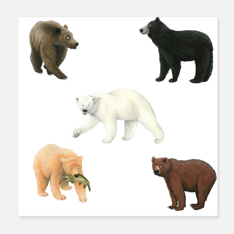 Bären Poster 20x20 cm