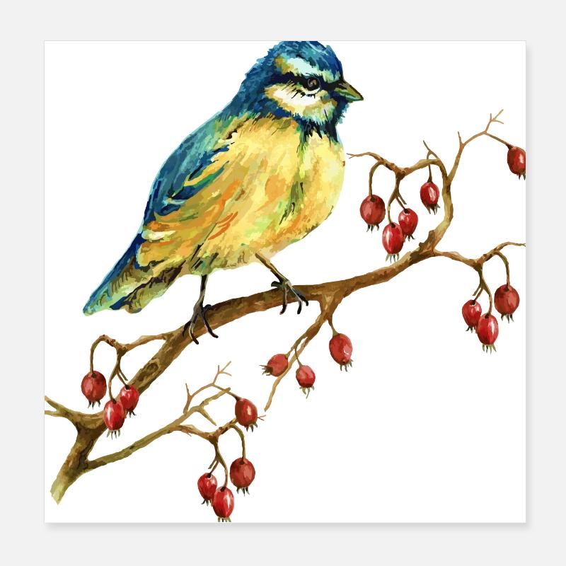Colorful bird Poster 8" x 8" (20x20 cm)