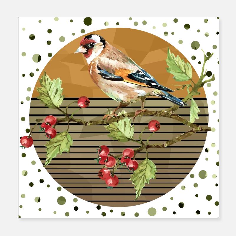 Oiseau coloré Poster 20 x 20 cm