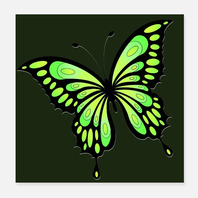 Papillon - Poster 20 x 20 cm - blanc