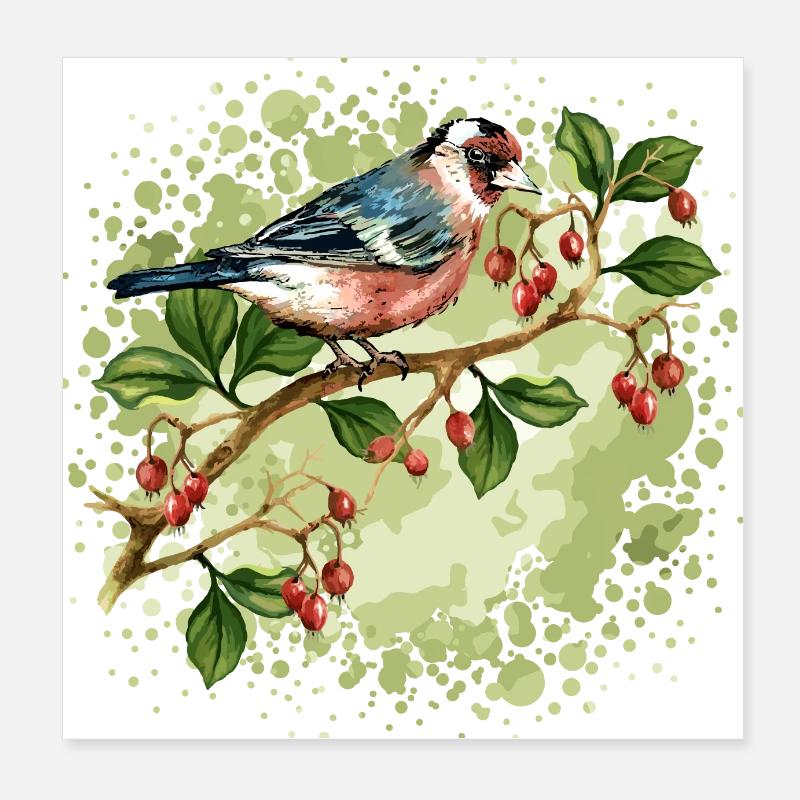 Oiseau coloré Poster 20 x 20 cm