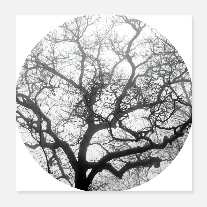 Fraktale Natur Poster 20x20 cm
