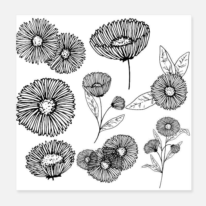Groupe de fleurs aster Poster 20 x 20 cm