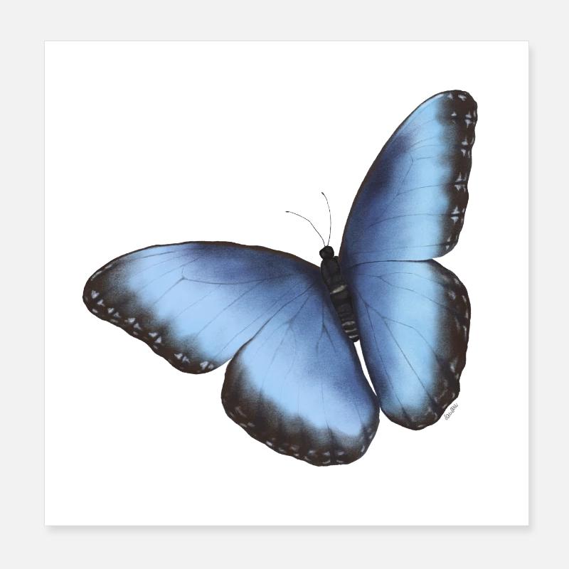 Blue morpho butterfly Poster 8" x 8" (20x20 cm)