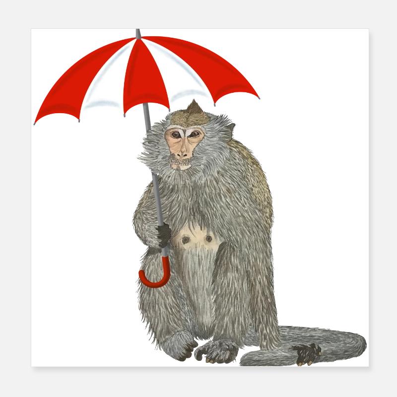 Affe Regenschirm Poster 20x20 cm