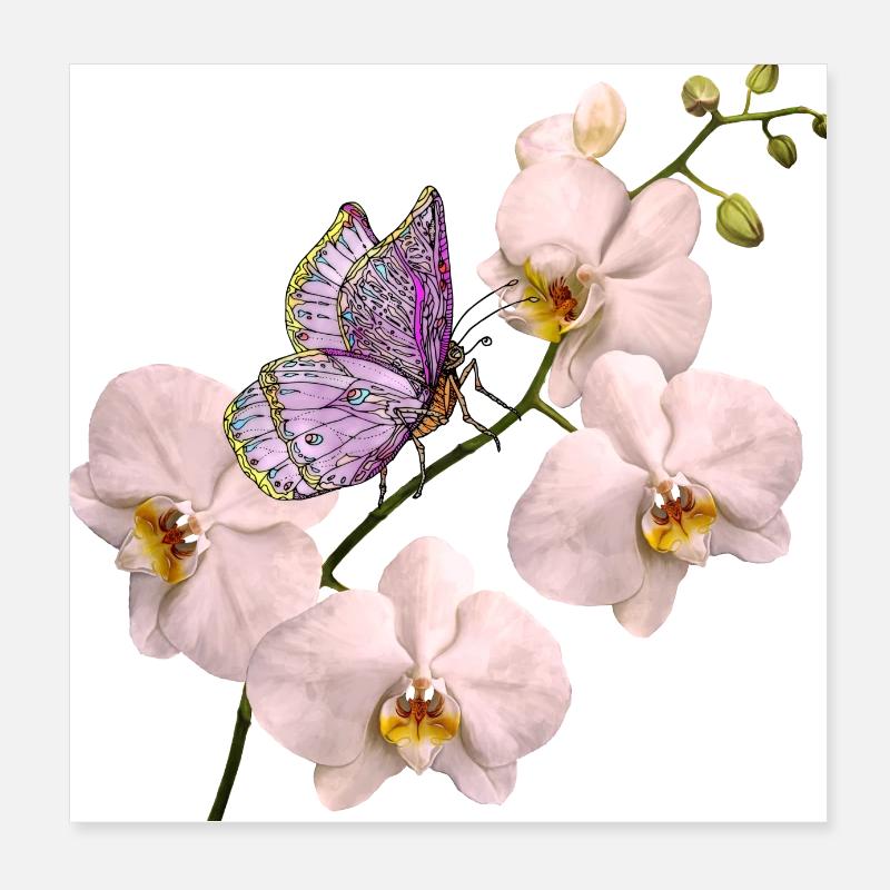 Colorful butterfly Poster 8" x 8" (20x20 cm)