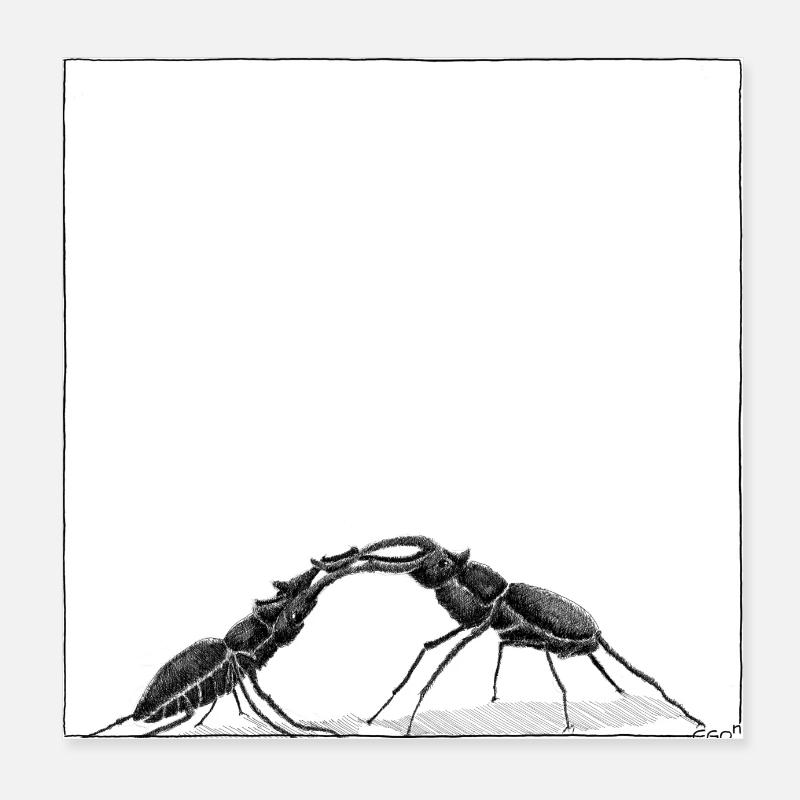 HIRSCHKÄFER Poster 20x20 cm