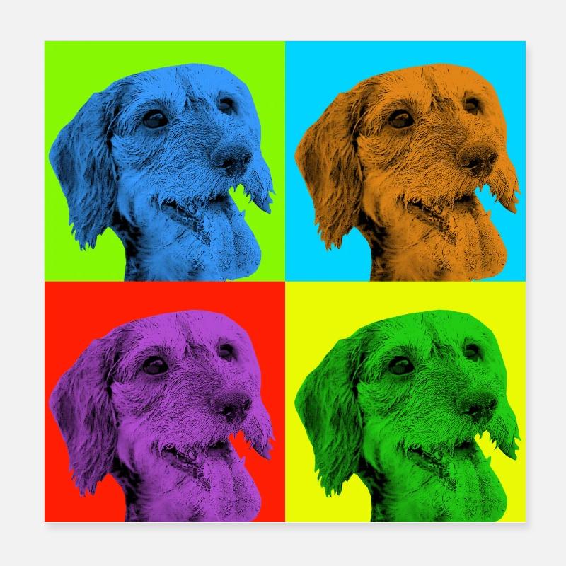 Dackel x 4 Poster 20x20 cm