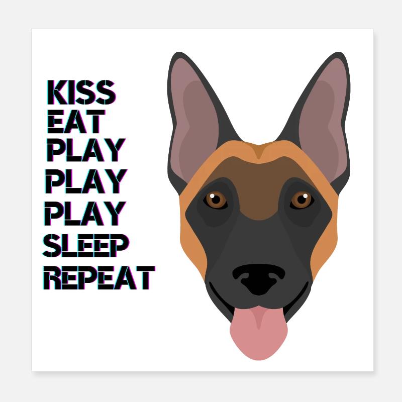 Belgischer Schäferhund Bunt Poster 20x20 cm