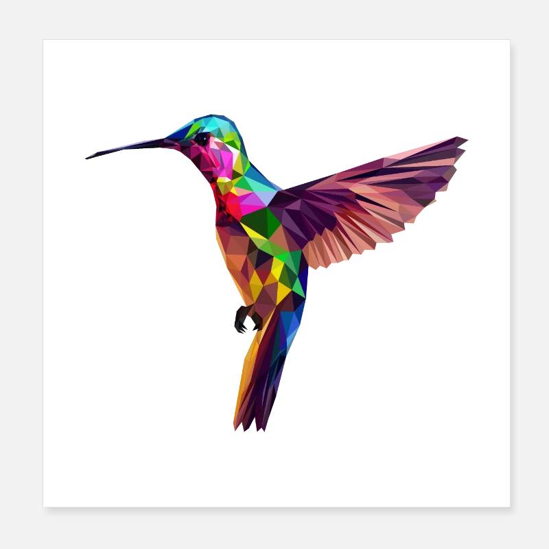 Affiche colibri Poster 20 x 20 cm