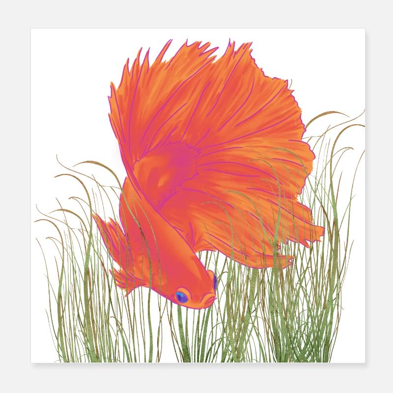 Betta Splendense HM Red Poster 8" x 8" (20x20 cm)