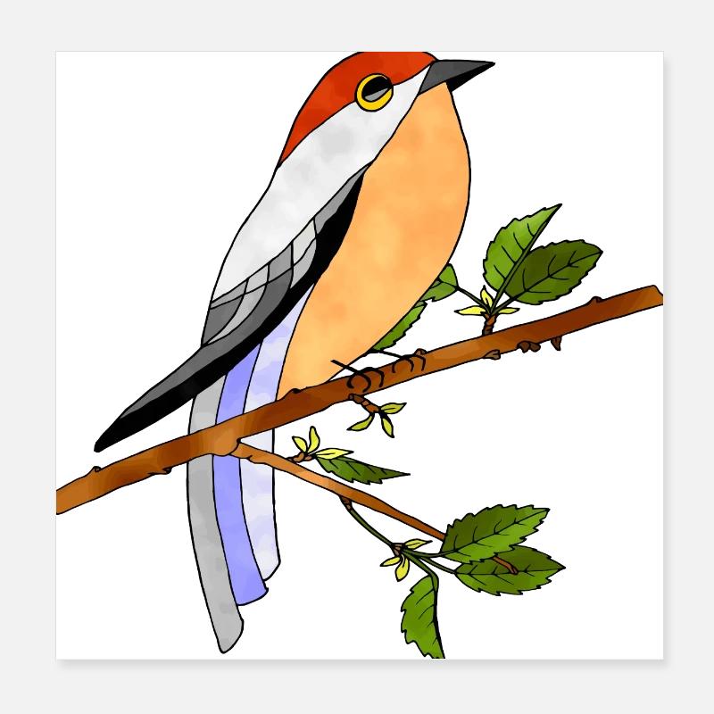 Bird Poster 8" x 8" (20x20 cm)