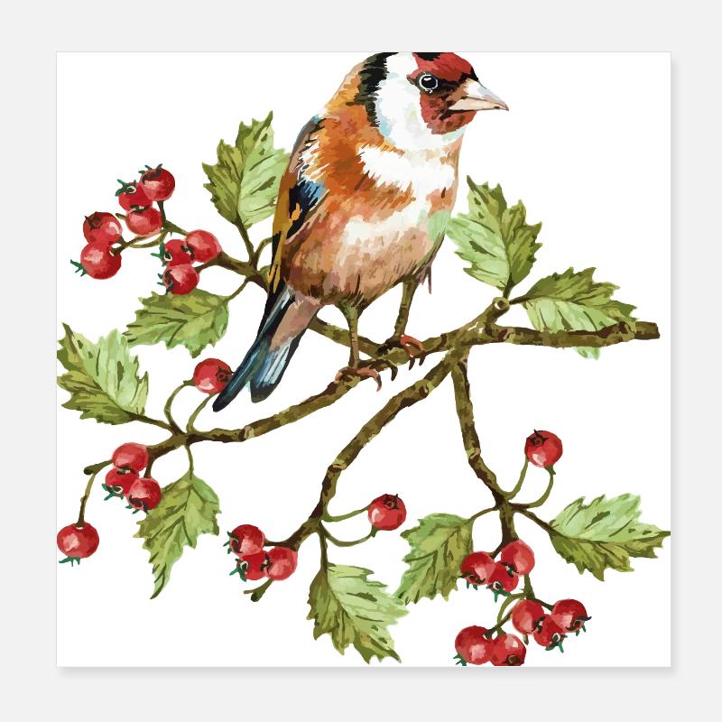 Colorful bird Poster 8" x 8" (20x20 cm)