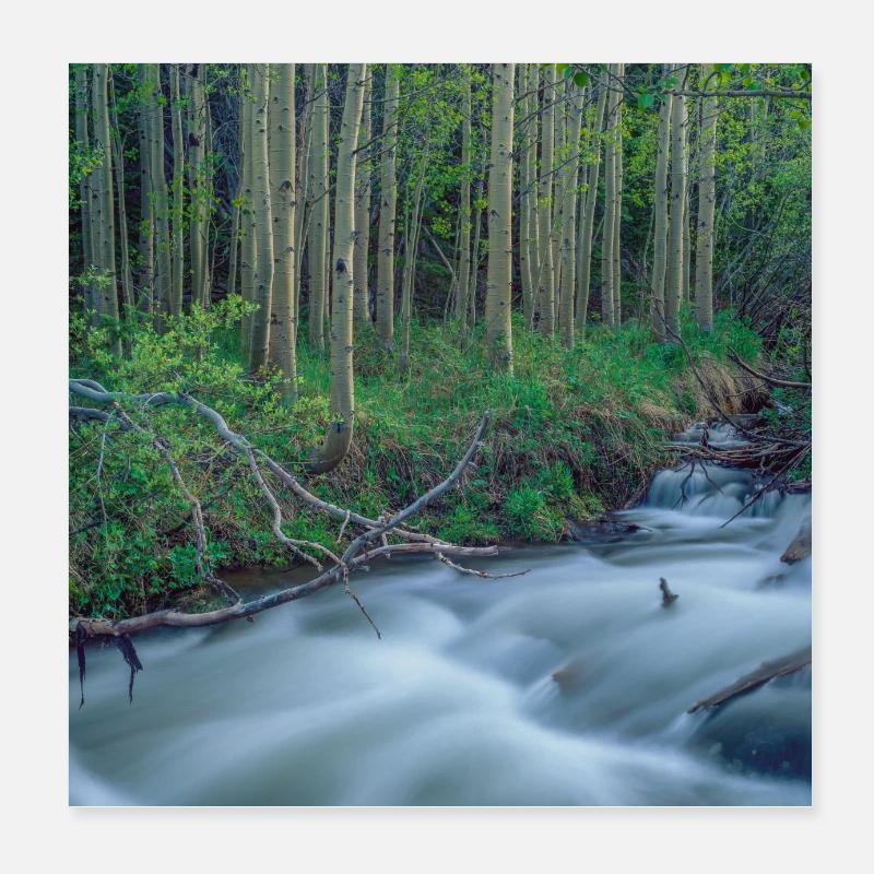 Rocky Mountains River Poster 8" x 8" (20x20 cm)