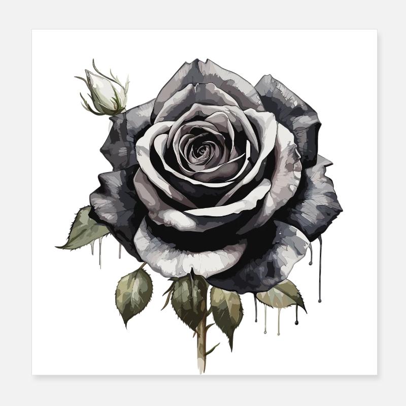 Rose à l’aquarelle - Poster 20 x 20 cm - blanc