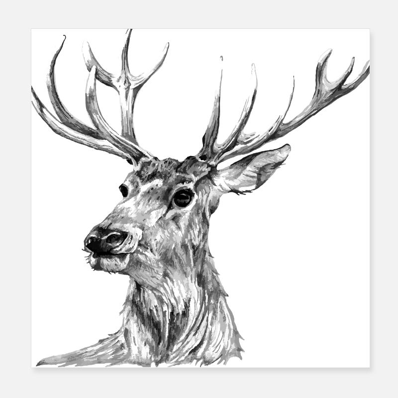 Hirsch Poster 20x20 cm