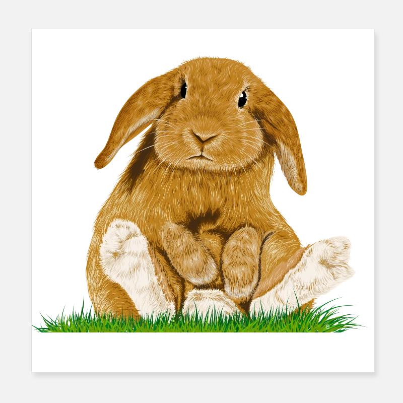 Lapin de Pâques Poster 20 x 20 cm