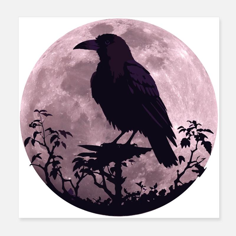 Rabe im Vollmond Licht Poster 20x20 cm