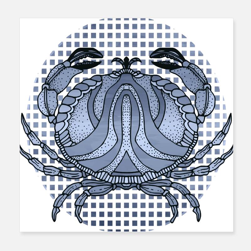 Krabbe Poster 20x20 cm
