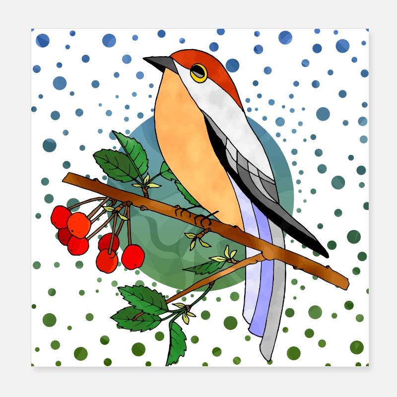 Oiseau coloré Poster 20 x 20 cm