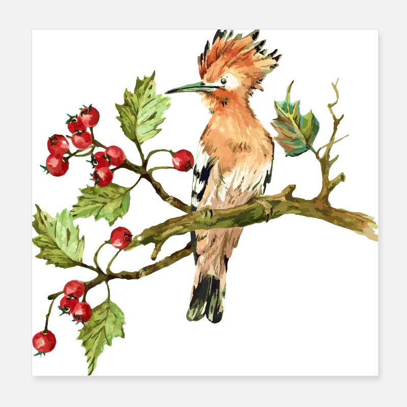 Oiseau coloré Poster 20 x 20 cm