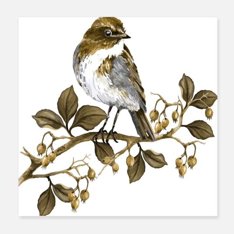 Oiseau Poster 20 x 20 cm