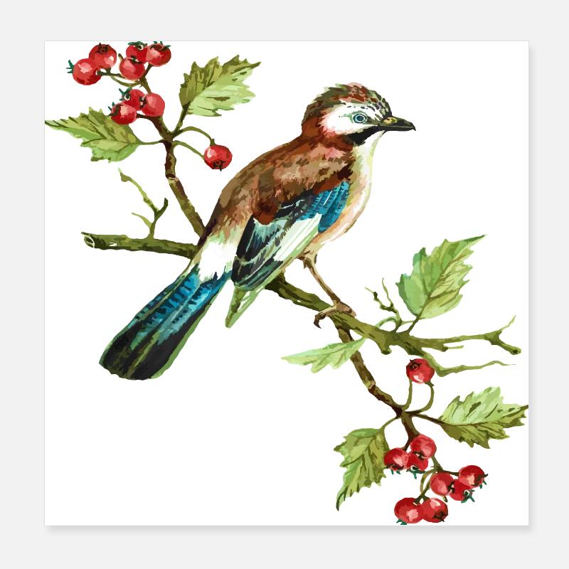 Oiseau coloré Poster 20 x 20 cm