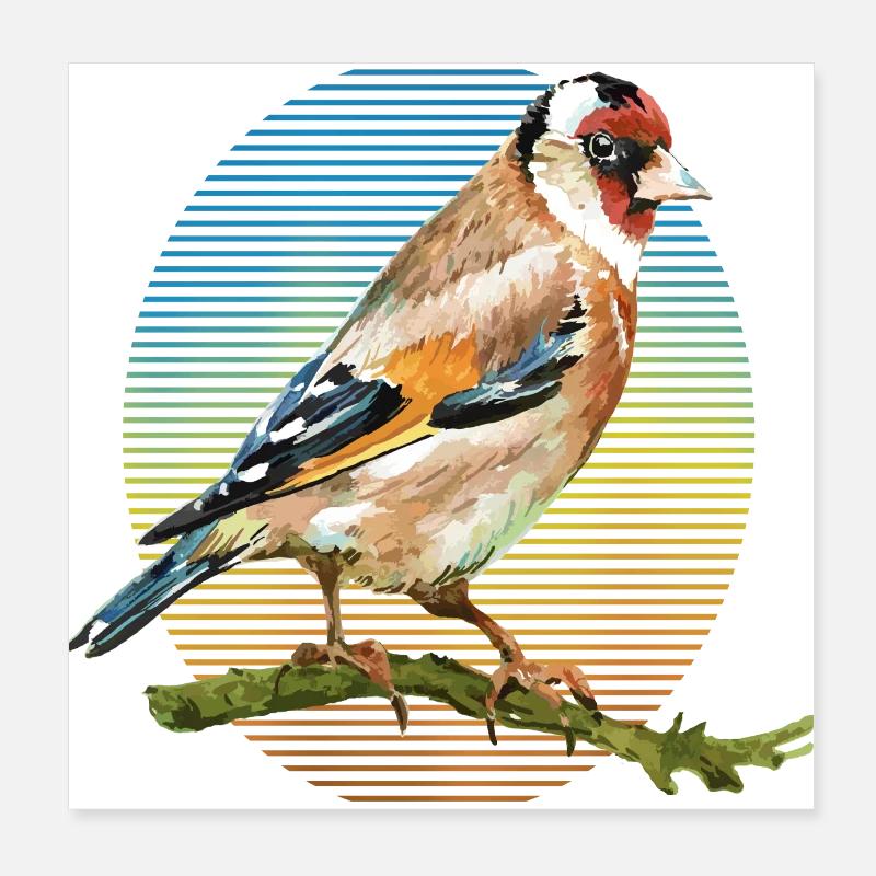 Oiseau coloré Poster 20 x 20 cm