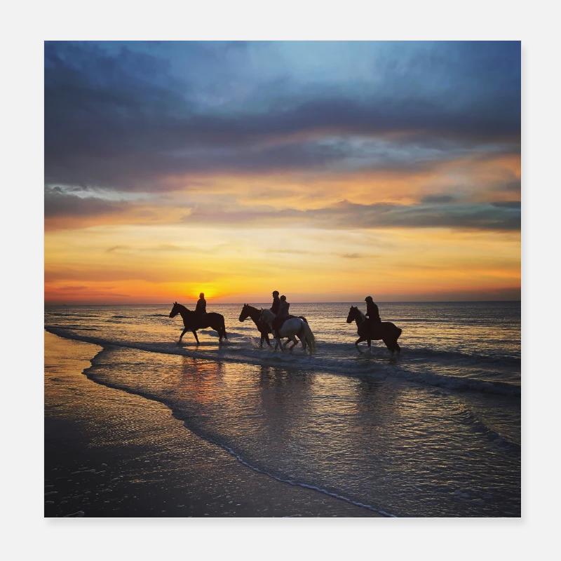 Hippocampes - Poster 20 x 20 cm - blanc