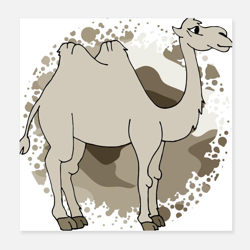 Chameau Poster 20 x 20 cm