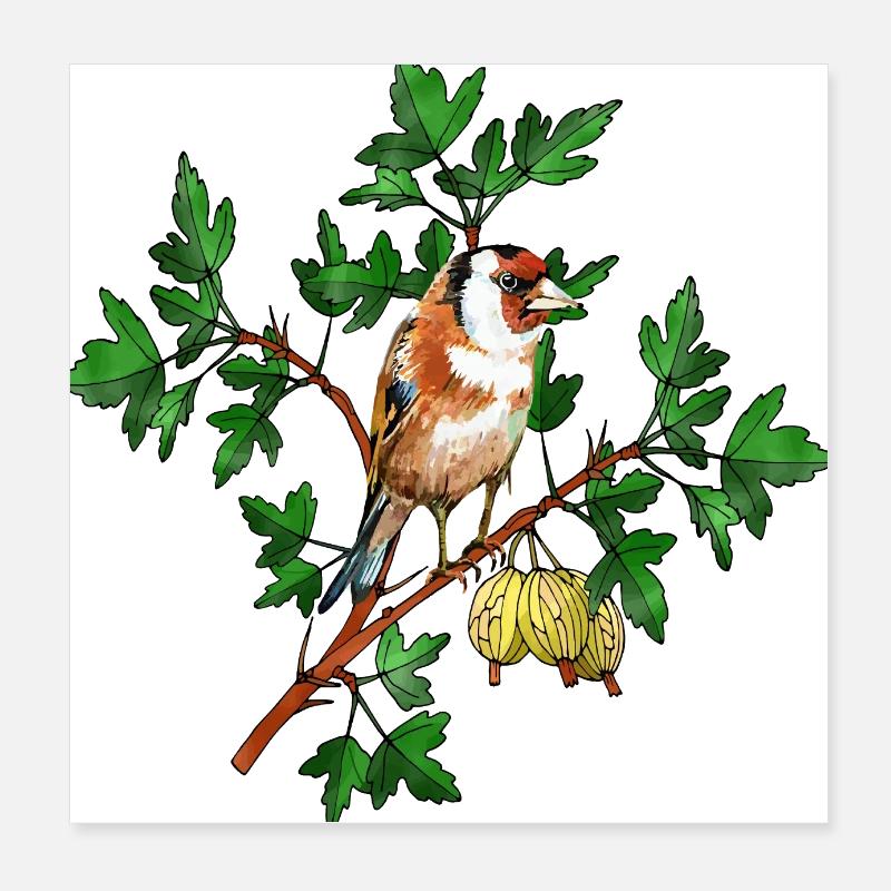 Colorful bird Poster 8" x 8" (20x20 cm)