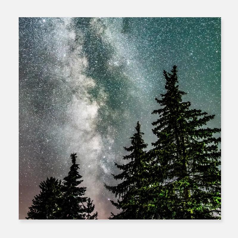 Milky Way in the Dark Forest Poster 8" x 8" (20x20 cm)