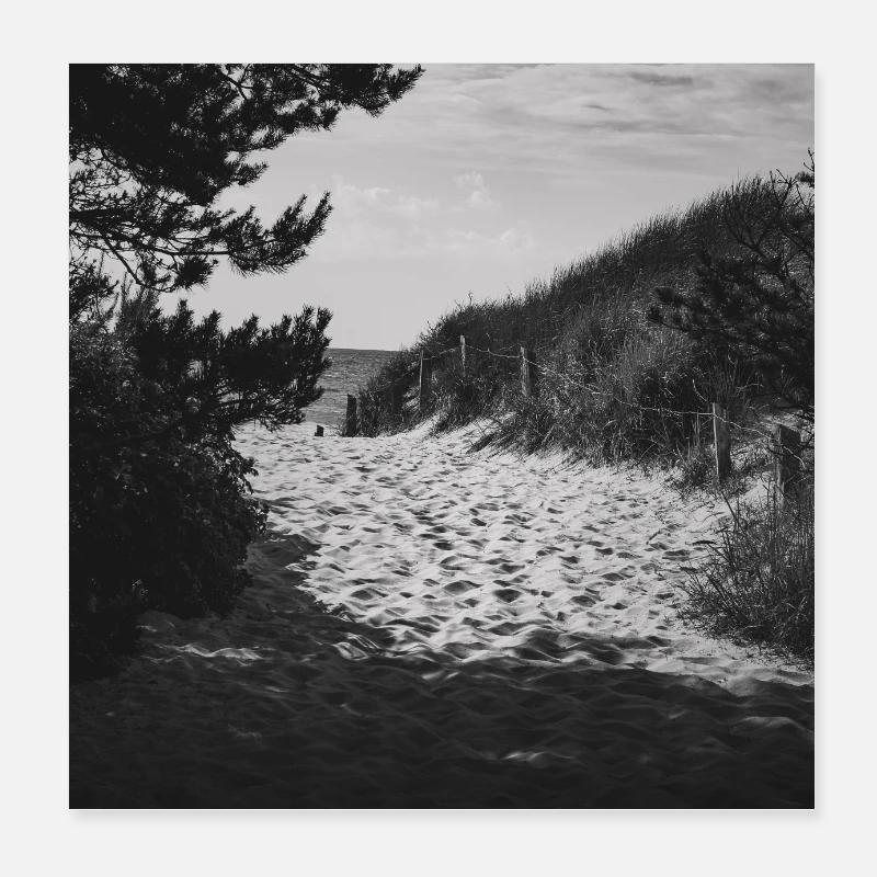 Accès à la plage West Beach Prerow Mer Baltique Darß Poster Poster 20 x 20 cm