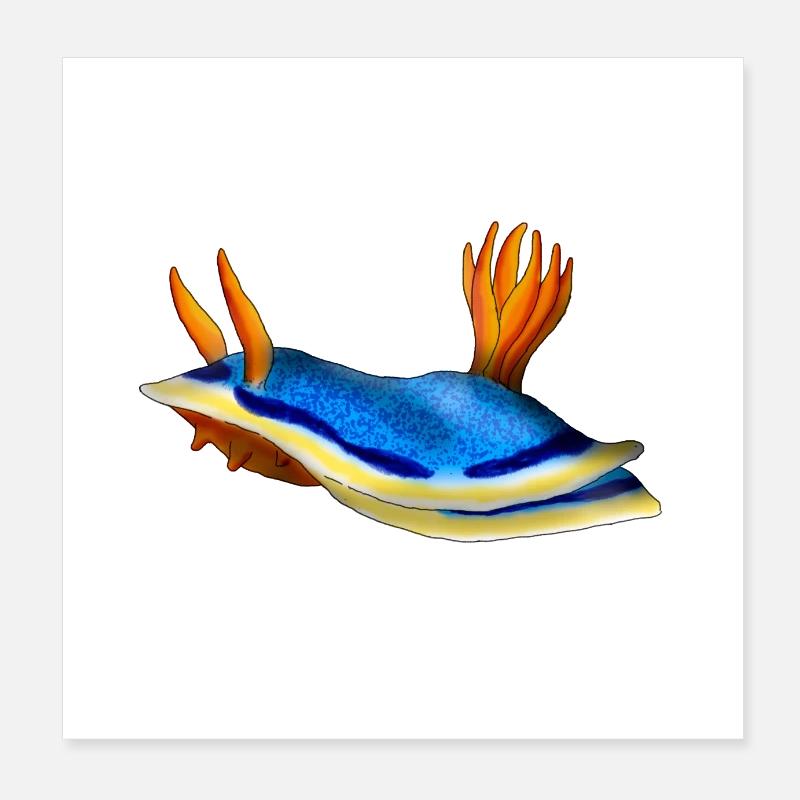 Chromodoris Annae Poster 20x20 cm