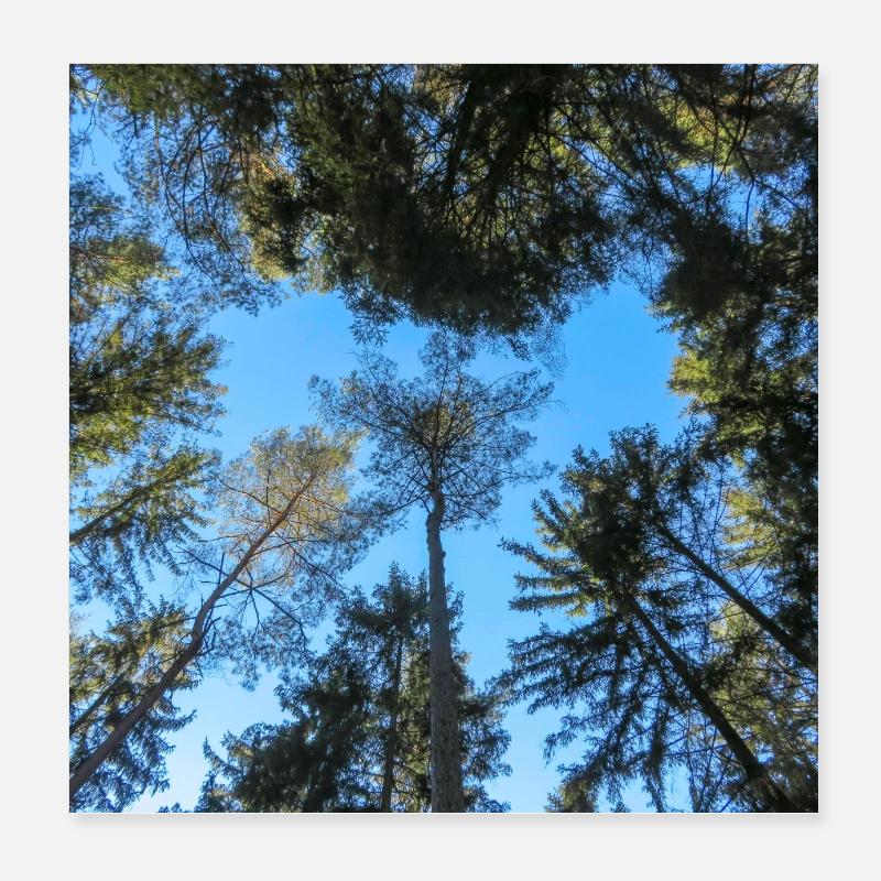 Baumkronen Poster 20x20 cm