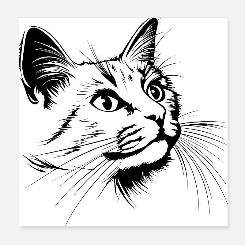 Chat, Motif De Chat, Visage De Chat Poster 20 x 20 cm