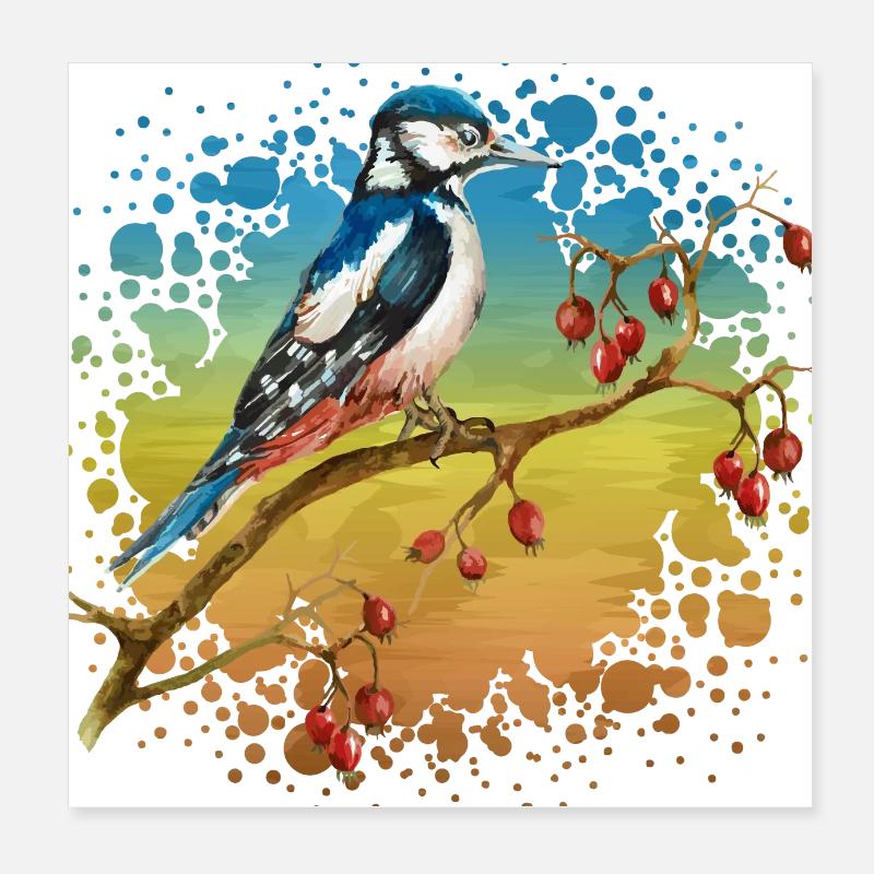 Oiseau coloré Poster 20 x 20 cm