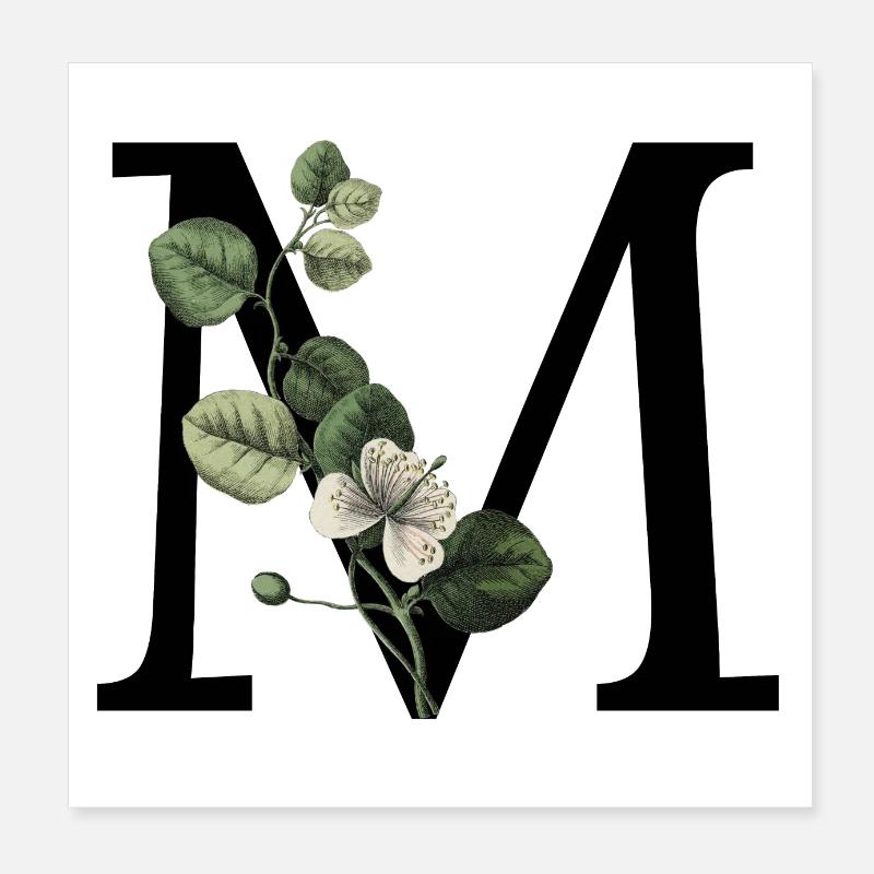 lettre m botanique vert Poster 20 x 20 cm