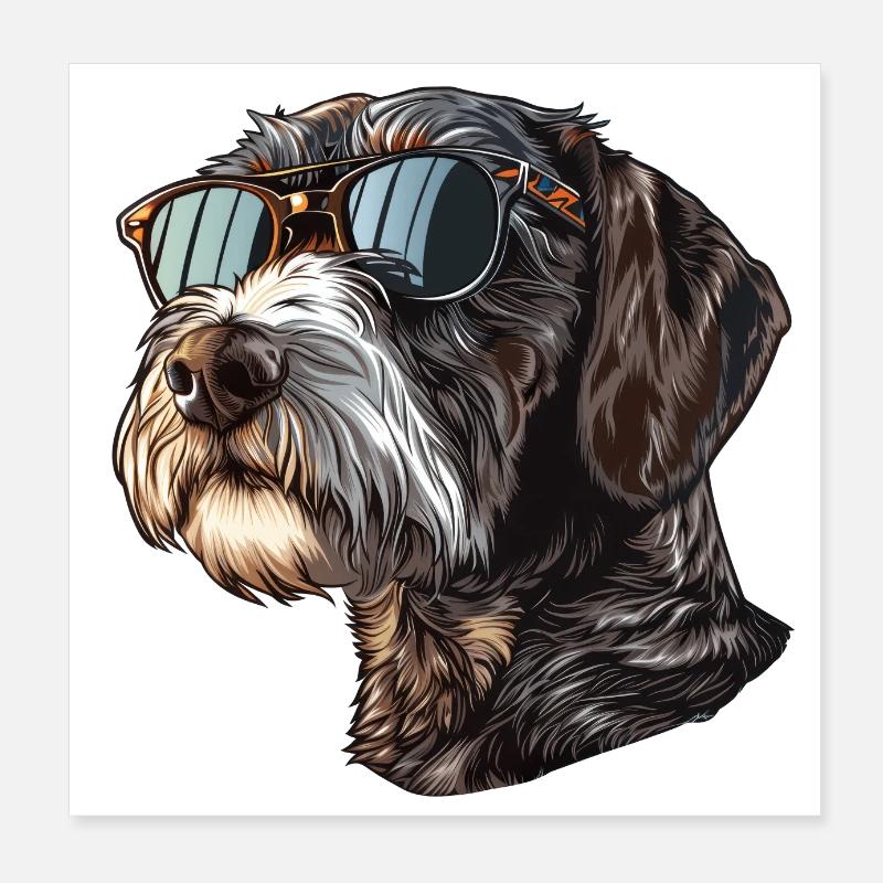 Deutsch Drahthaar, German Wirehaired Pointer, Hund Poster 20x20 cm