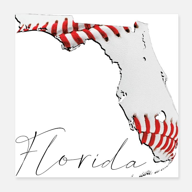 Real Baseball in Florida State Map FL Poster 8" x 8" (20x20 cm)