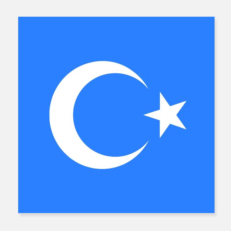 Uyghurs Poster 8" x 8" (20x20 cm)