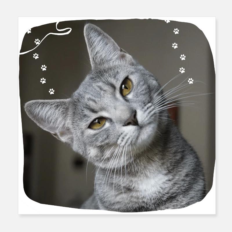 T-shirt chat Poster 20 x 20 cm