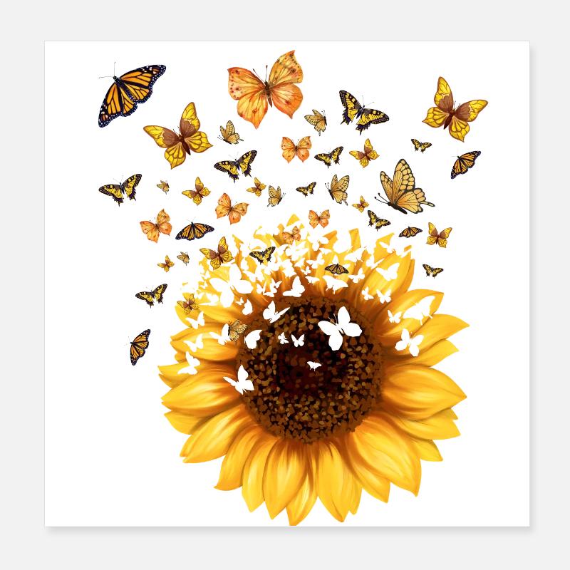 Sonnenblumen-Schmetterlinge - originelle Geschenkidee Poster 20x20 cm