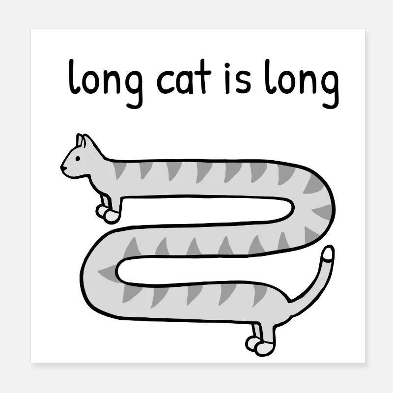 Un chat long est long Poster 20 x 20 cm