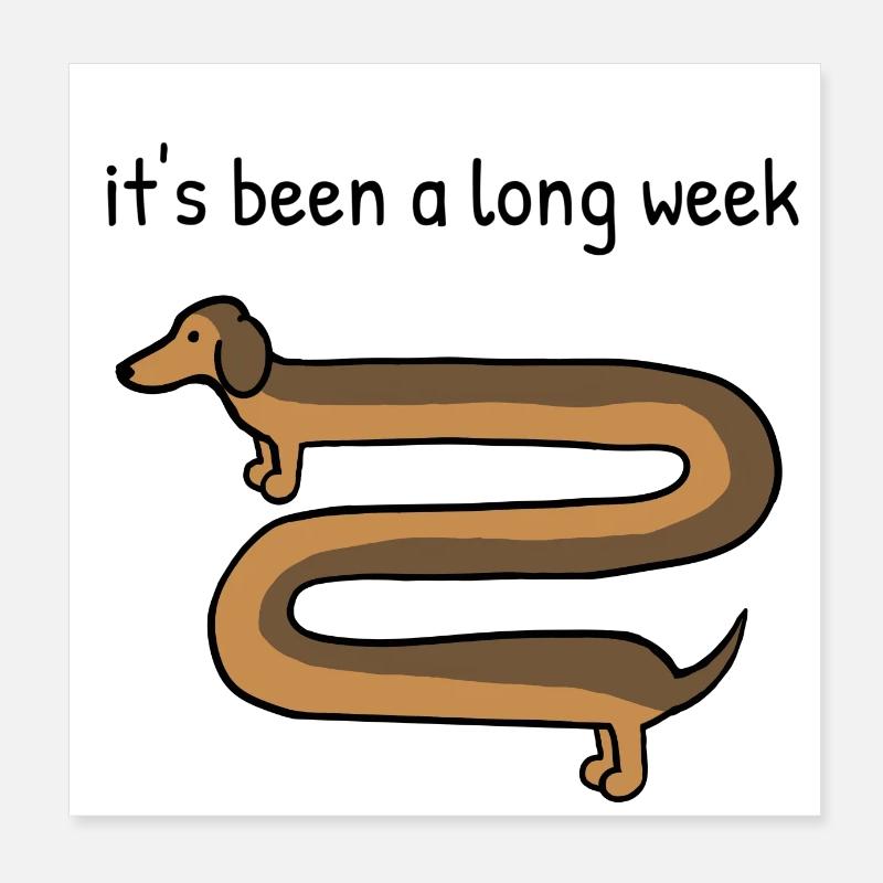 It's been a long week, dachshund dog Poster 8" x 8" (20x20 cm)