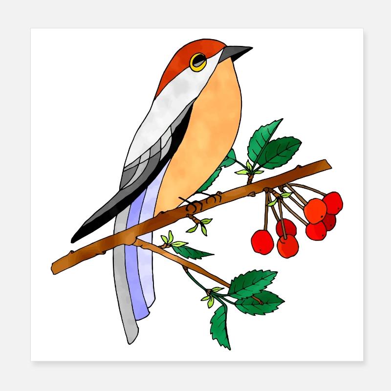 Bunter Vogel Poster 20x20 cm