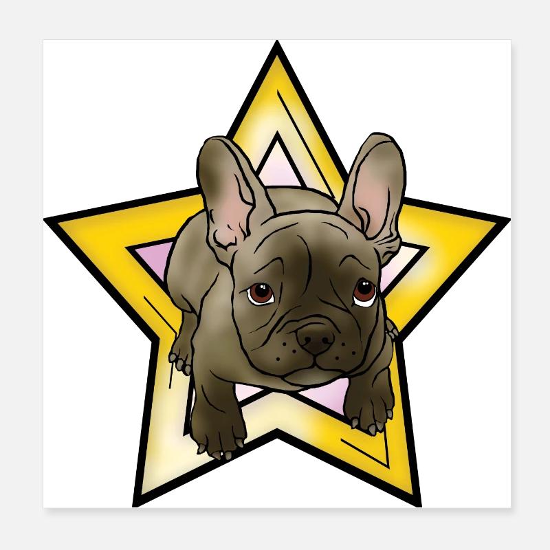 Chiot bouledogue français avec étoile Poster 20 x 20 cm
