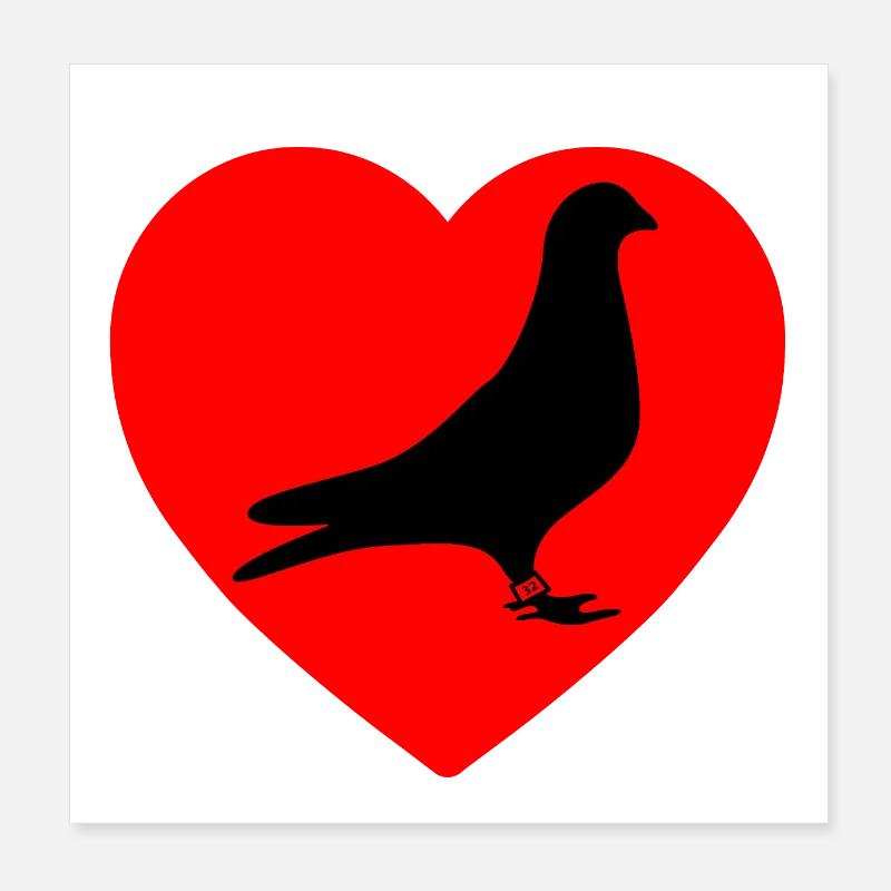 Tauben Poster 20x20 cm